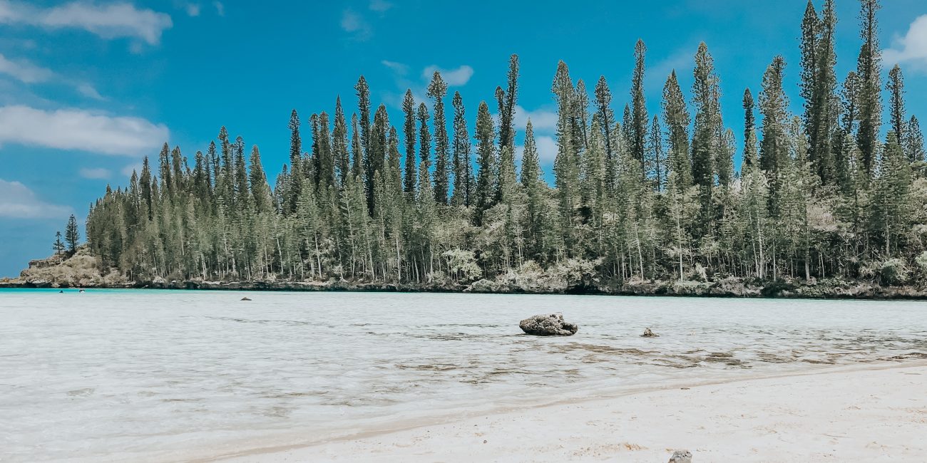 Piscine naturelle, ile des pins