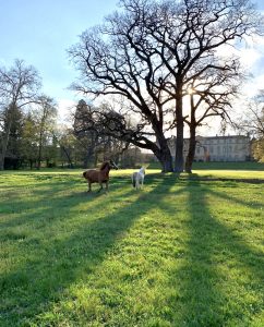 Que faire à moins de 100 kilomètres de Vichy 