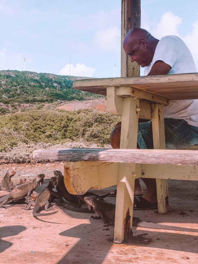 Guadeloupe : 10 endroits à ne pas manquer