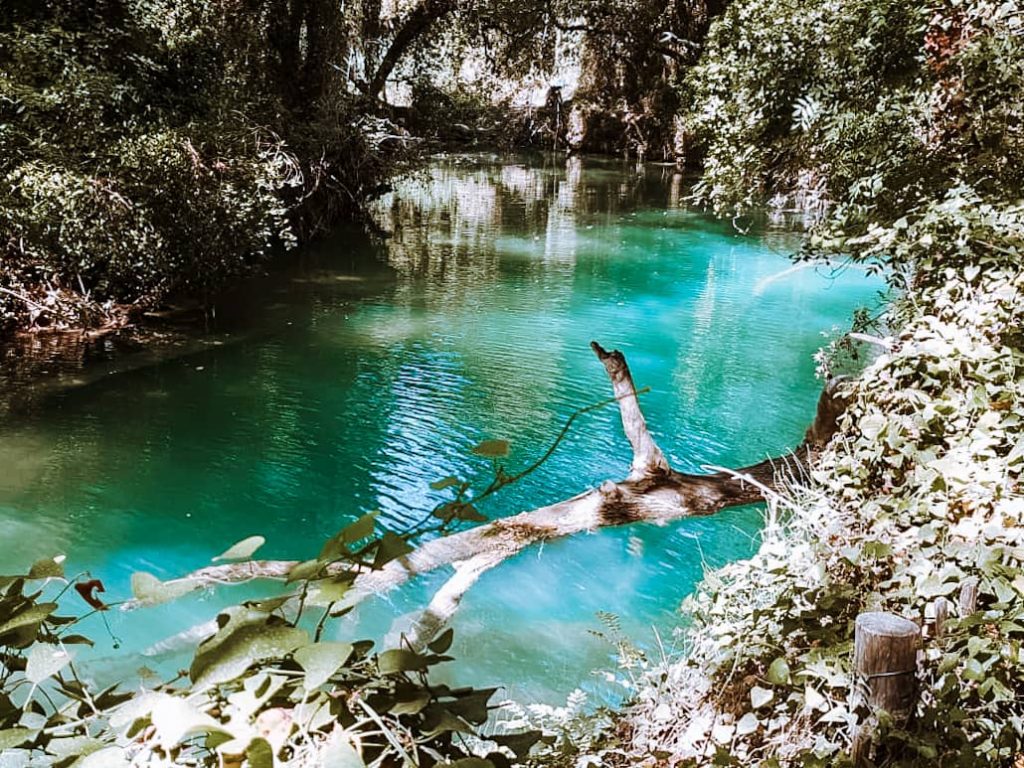 I need vitamin sea blog