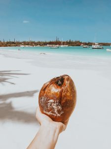 Noix de coco au bord de l'eau