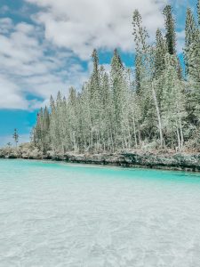 Piscine naturelle