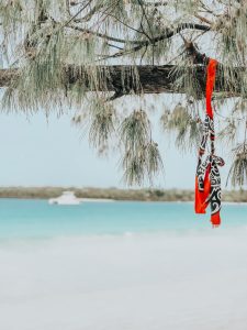 Ruban autour d'un arbre