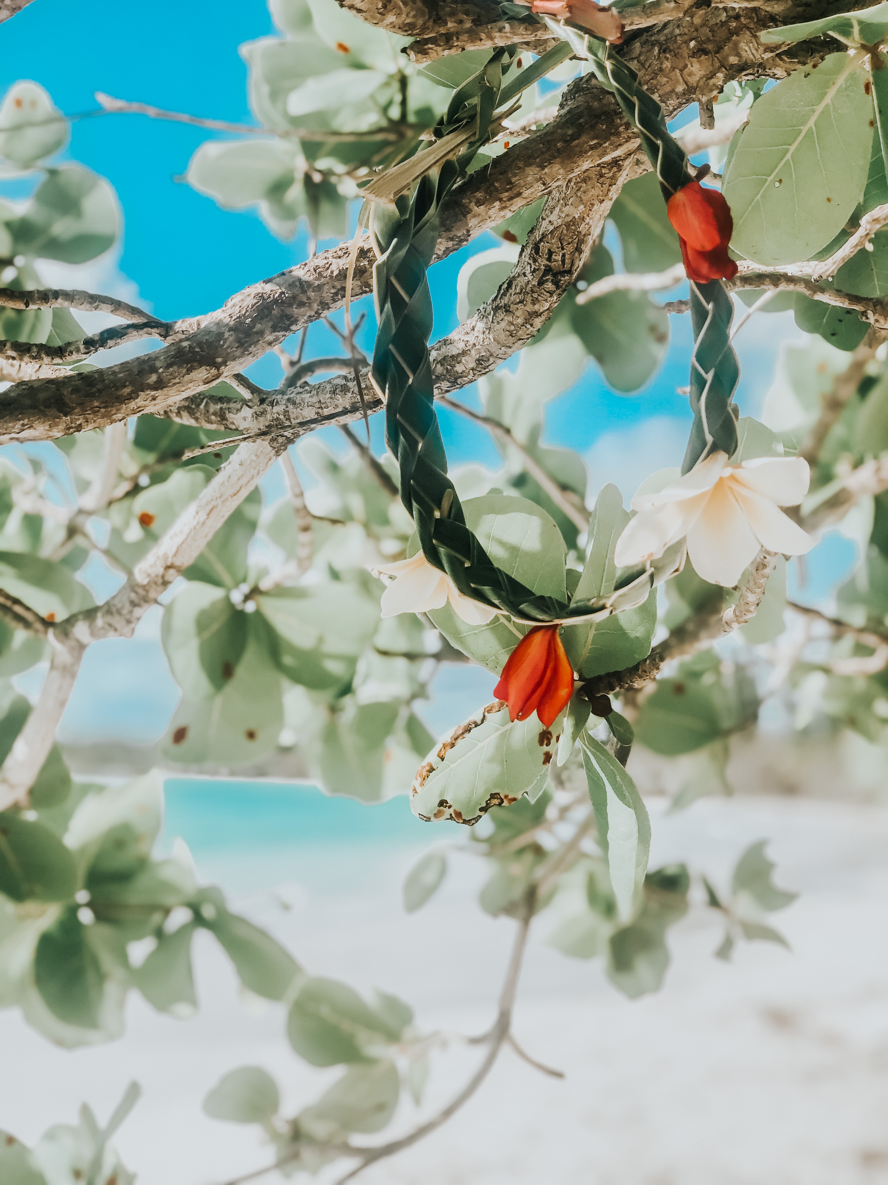 Collier traditionnel