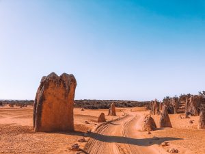 Desert des pinnacles, sable jaune, perth, Australie