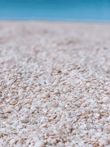 Shell Beach, milliers de coquillages fins