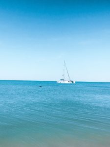 monkey mia, dauphins, plage