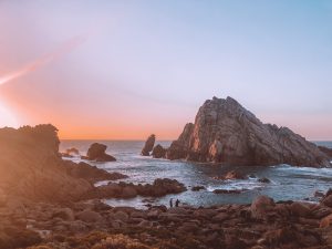 Cape Naturalist Leeuwin, Côte ouest
