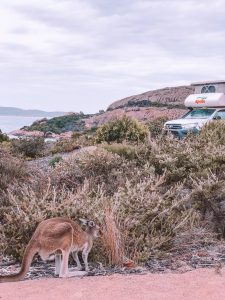 Esperance, côte ouest australie