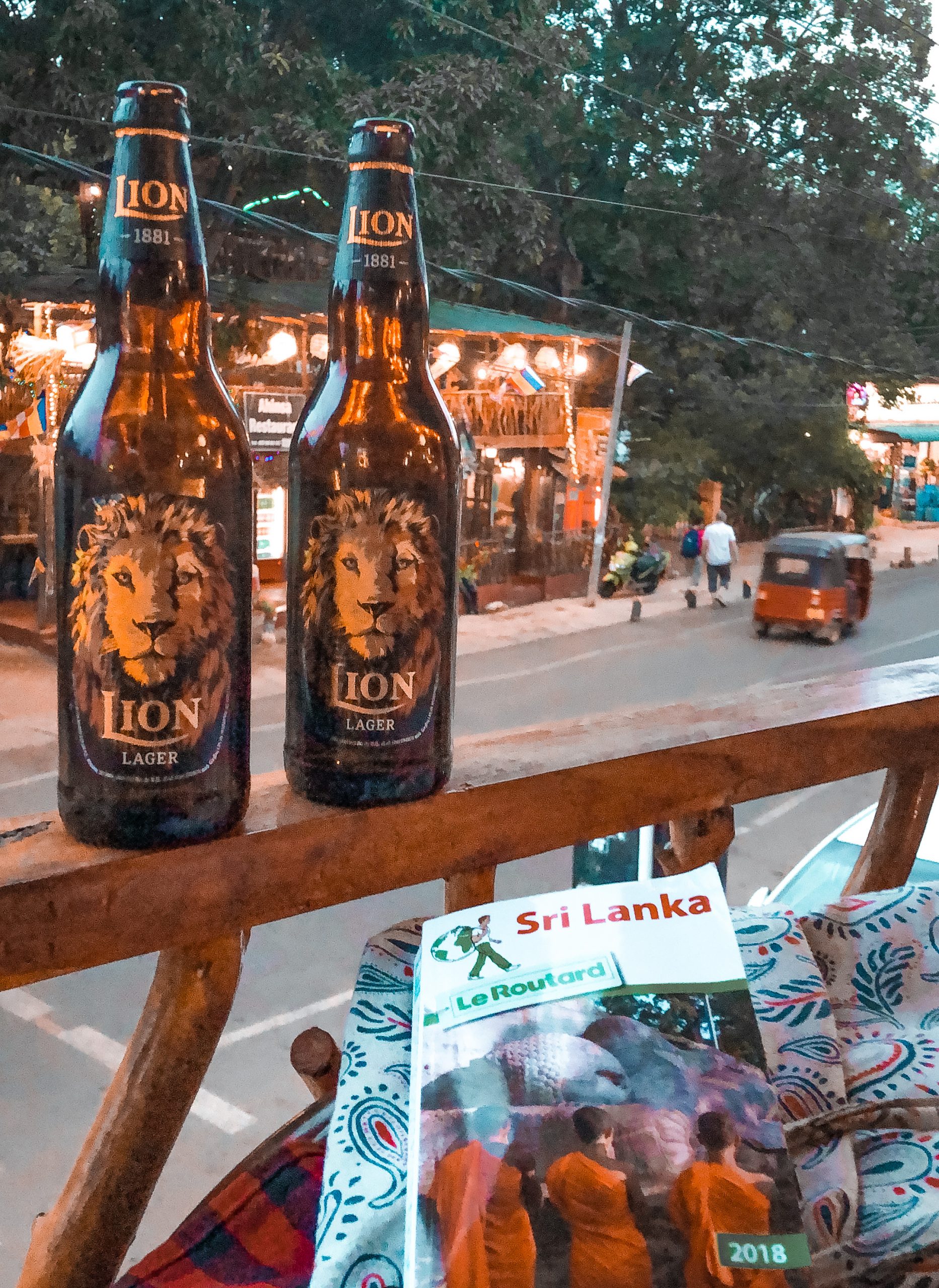 Homestay, bières locales sri lanka, lion's beer