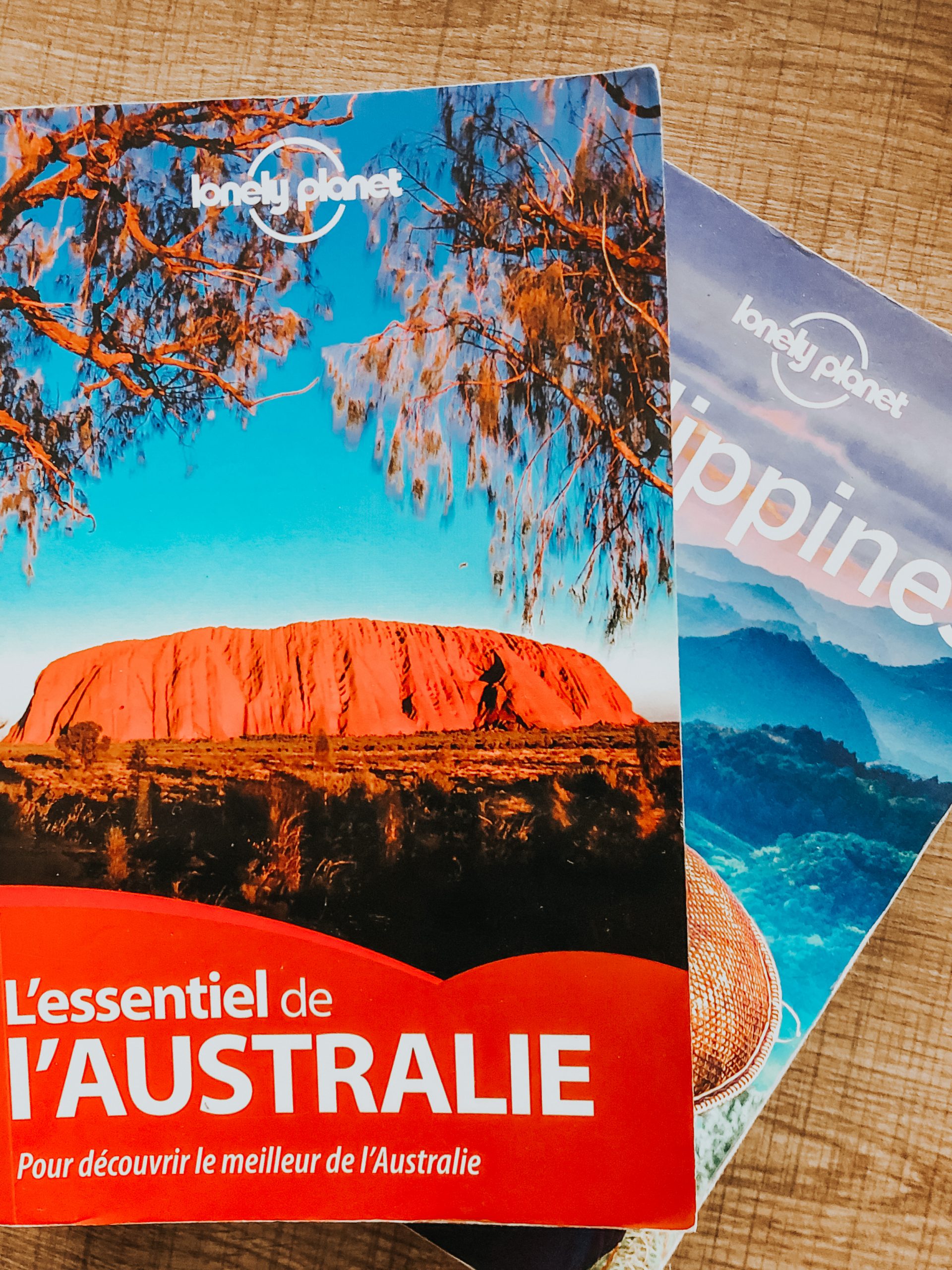 Guide du routard, pour se renseigner sur la voyager et les coutumes